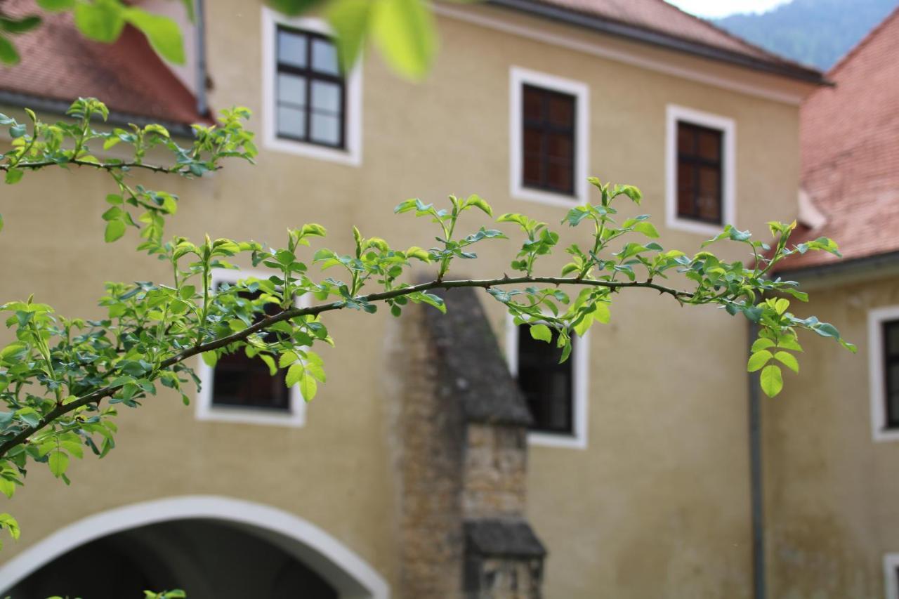 Hotel Im Stift Neuberg Neuberg an der Muerz Екстер'єр фото